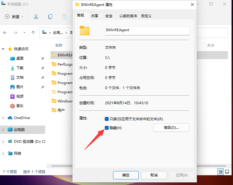 Win11怎么查看隱藏文件和文件夾？Win11顯示隱藏文件的操作步驟