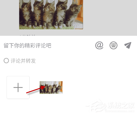 抖音貓咪搖頭蹦迪表情包怎么發(fā)?抖音5只貓點頭表情包下載