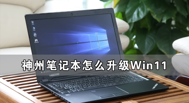 神州筆記本怎么升級Win11 神舟電腦升級Win11詳細(xì)教程