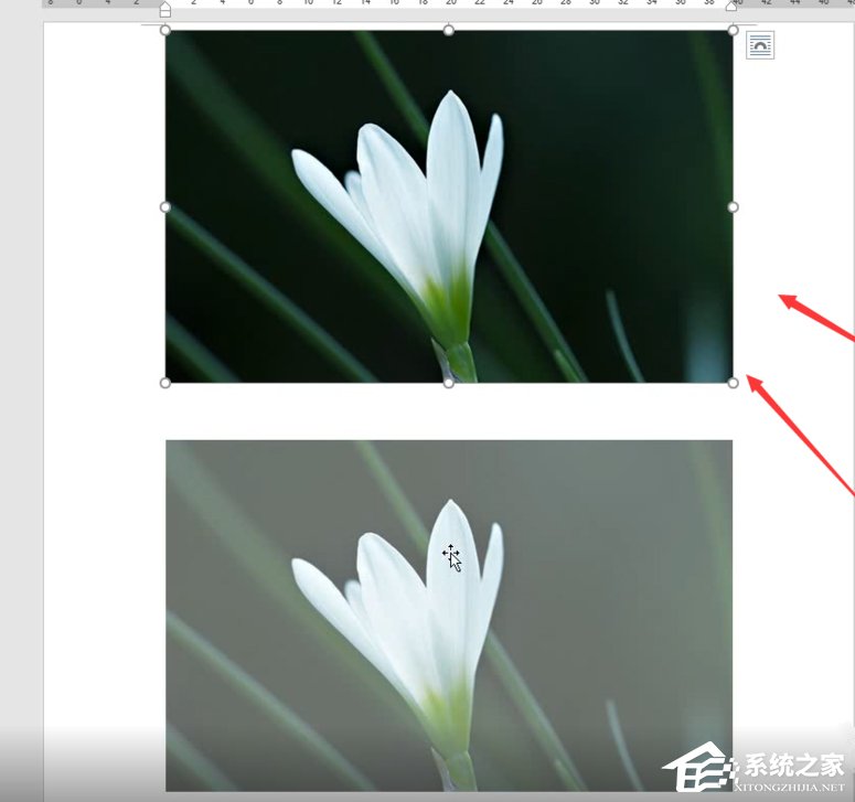 Word如何制作雙重曝光特效？制作雙重曝光特效的方法