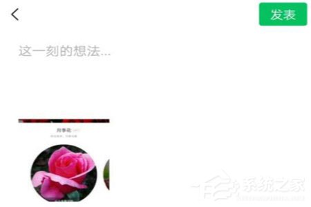 形色識花怎么分享到微信？形色識花怎么分享到微信的方法