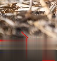 Win10專業版任務視圖快捷鍵是什么？Win10任務視圖打開的方法