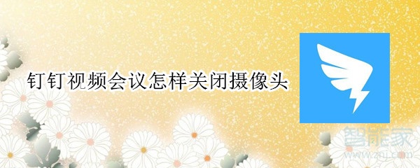 釘釘視頻會議怎樣關(guān)閉攝像頭