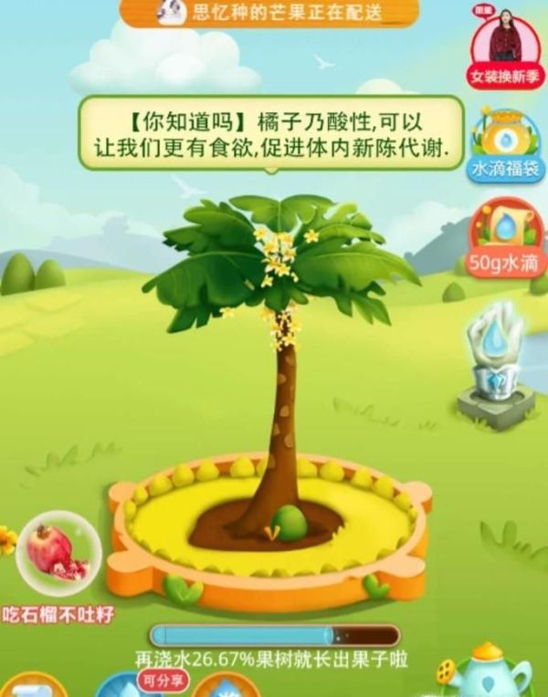 拼多多果園果實長成熟真能發(fā)貨?多多果園領(lǐng)水滴