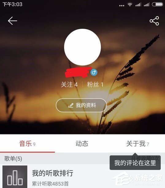 網(wǎng)易云音樂(lè)查看自己聽(tīng)歌排行的具體操作方法