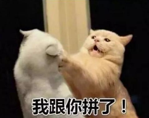抖音新農(nóng)合是什么意思？新農(nóng)合干一架是什么梗