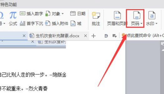 wps2007如何插入頁碼？wps2007插入頁碼圖文介紹