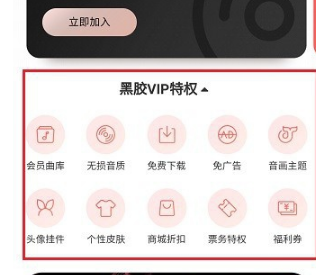 網(wǎng)易云音樂黑膠vip和音樂包有什么區(qū)別 黑膠vip和音樂包性價比對比