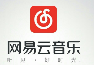 網(wǎng)易云音樂黑膠vip和音樂包有什么區(qū)別 黑膠vip和音樂包性價比對比