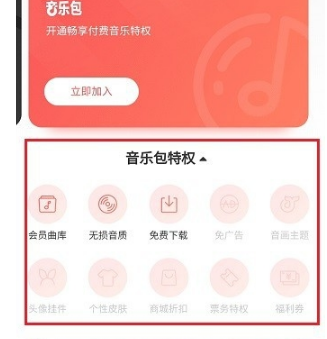 網(wǎng)易云音樂黑膠vip和音樂包有什么區(qū)別 黑膠vip和音樂包性價比對比
