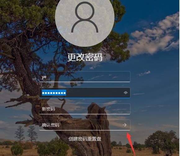 Win11不要密碼怎么設(shè)置？Win11取消密碼登錄的步驟教程