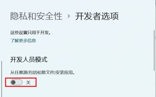 Win11怎么開(kāi)啟開(kāi)發(fā)者選項(xiàng)？Win11打開(kāi)開(kāi)發(fā)人員選項(xiàng)教程
