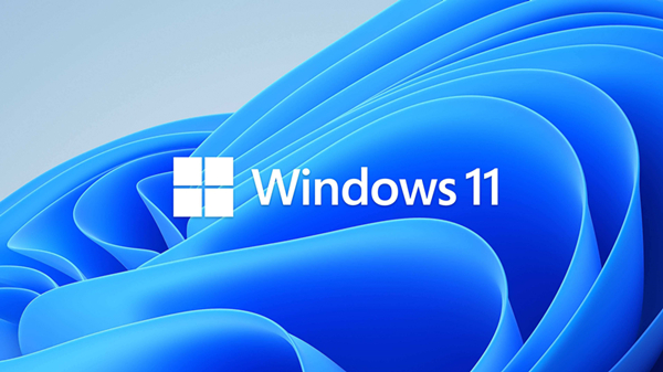 Win11的D盤無法顯示怎么辦？Win11D盤無法顯示的解決方法