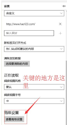 win10Edge瀏覽器怎么顯示主頁(yè)按鈕?win10Edge瀏覽器顯示主頁(yè)按鈕介紹