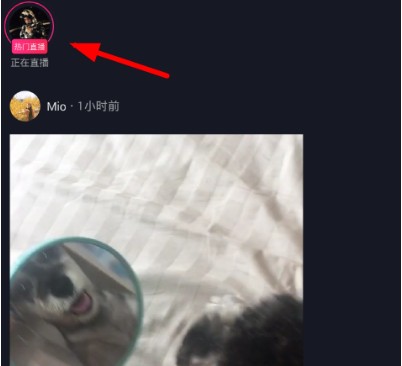 抖音怎么加入粉絲團？加入粉絲團方法說明