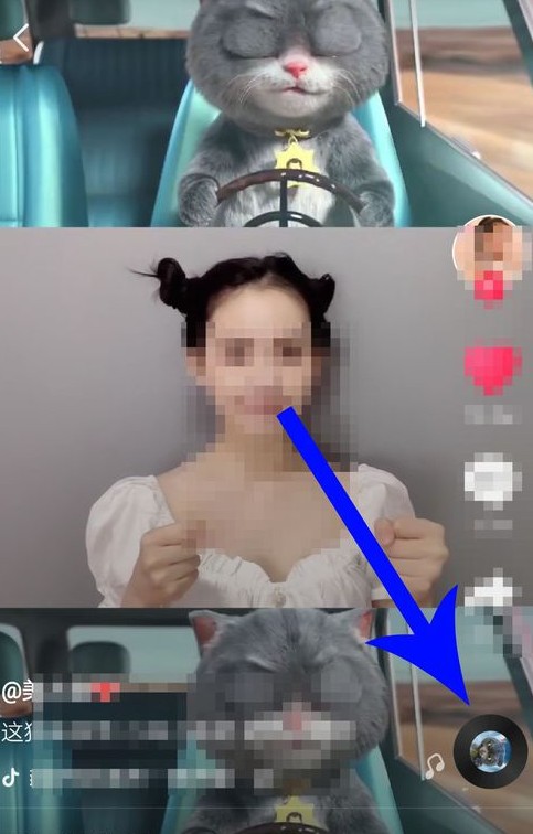 抖音中與斑布貓怎么合拍？合拍的具體步驟分享