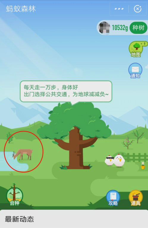 怎么在螞蟻森林首頁有小鹿？小鹿獲取攻略分享