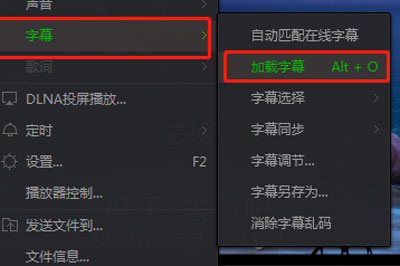 愛奇藝萬能播放器怎么調(diào)字幕 手把手教你調(diào)出好字幕