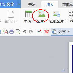 使用wps設(shè)計(jì)出一款簡約派簡歷具體操作步驟