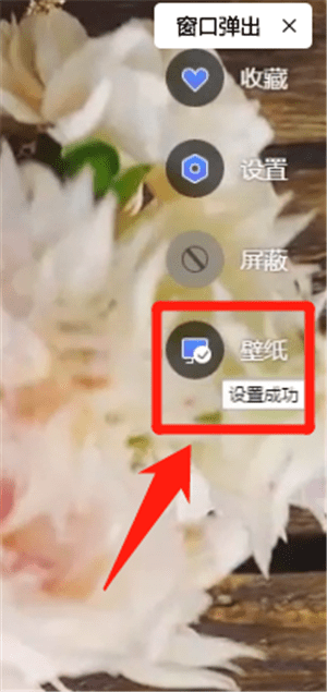WPS畫報(bào)設(shè)置壁紙具體操作方法