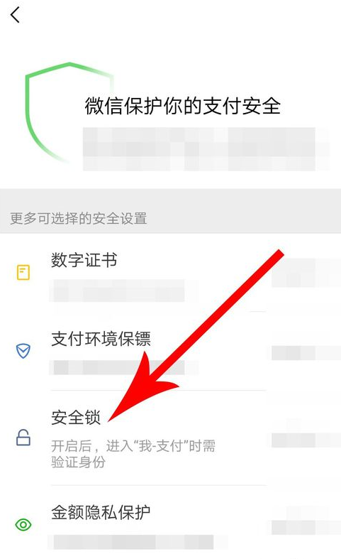 微信支付如何設(shè)置安全鎖？ 微信支付安全鎖設(shè)置方法教程解答！