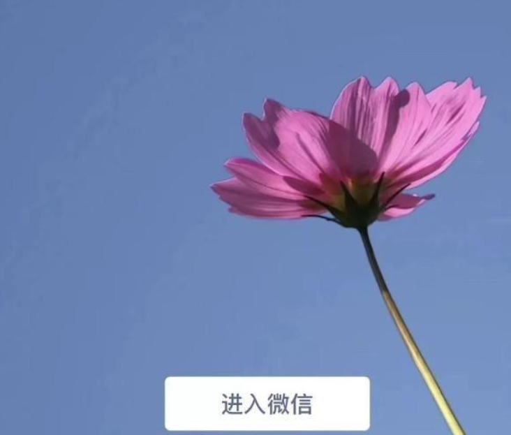 微信7.0后悔更新了如何恢復(fù)？微信7.0后悔更新后恢復(fù)方法教程解答！