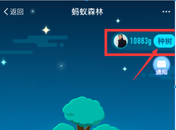 支付寶螞蟻森林環(huán)保證書如何領??？螞蟻森林環(huán)保證書領取攻略介紹！
