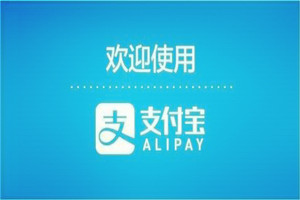 支付寶螞蟻積分守護(hù)寶貝計(jì)劃是什么 守護(hù)寶貝計(jì)劃怎么加入