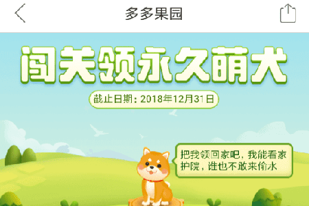 拼多多果園怎么養狗？果園養狗方法技巧圖文步驟講解