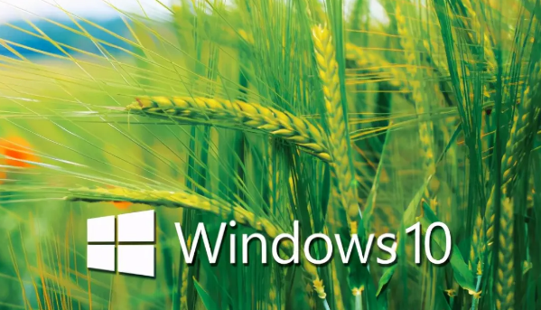 Windows10查看驅(qū)動程序文件步驟介紹