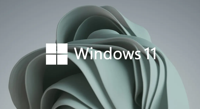 Windows11打開(kāi)任務(wù)管理器方法介紹