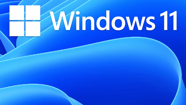 Windows11啟動(dòng)程序net服務(wù)教程分享