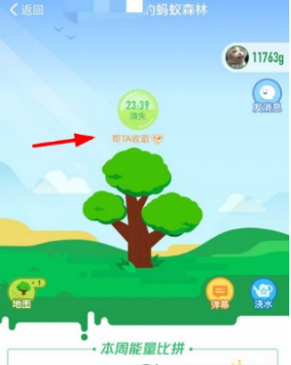 支付寶螞蟻森林怎么給好友澆水？給好友澆水方法分享