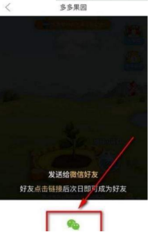 多多果園要怎么添加好友？多多果園添加微信好友教程分享