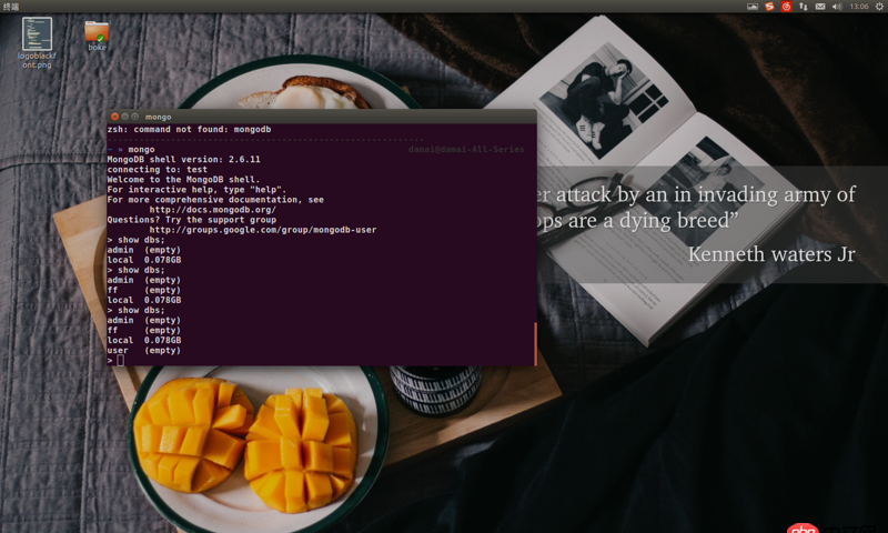 node.js - 如何在webstorm中啟動并連接mongodb數(shù)據(jù)庫呢？