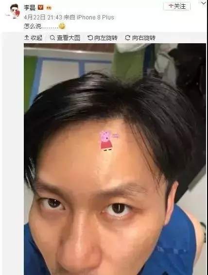 抖音小豬佩奇慘遭封殺？小豬佩奇為什么被稱為社會人