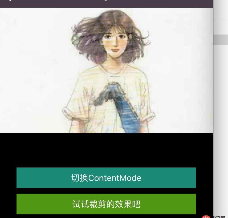 objective-c - SDWebImage加載的網(wǎng)絡(luò)圖片，如何調(diào)整顯示圖片的尺寸