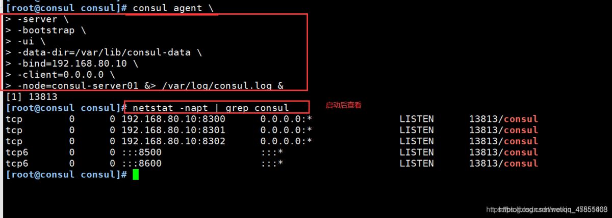 Docker consul的容器服務更新與發(fā)現(xiàn)的問題小結(jié)