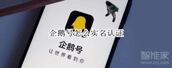 企鵝號怎么實名認(rèn)證