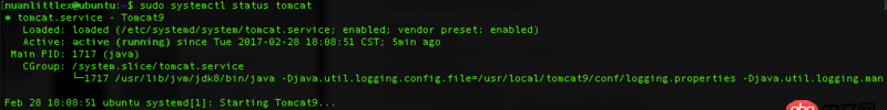 service - Ubuntu16 Tomcat9 設(shè)置開機(jī)自動重啟時為什么起不來？