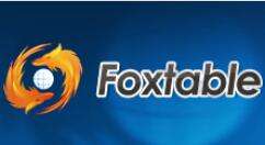 Foxtable項目信息如何輸入？項目信息輸入方法分享