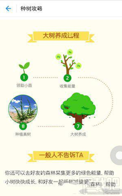 支付寶螞蟻森林澆水辦法？