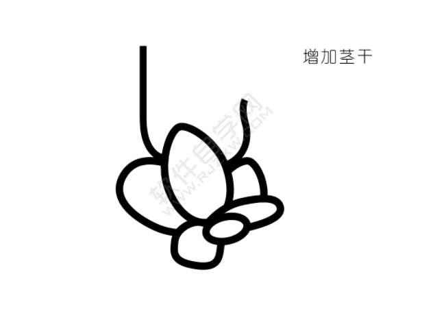 ai怎么畫(huà)多肉植物插畫(huà)