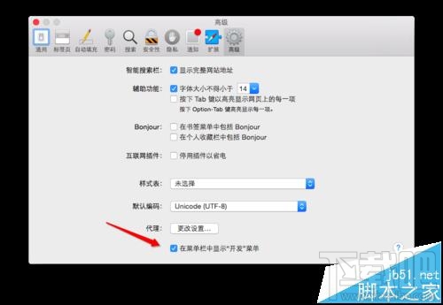 MAC系統(tǒng)中怎么開啟Safari開發(fā)者模式？