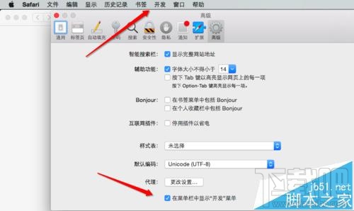 MAC系統(tǒng)中怎么開啟Safari開發(fā)者模式？