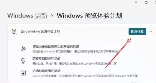 win12內(nèi)測申請