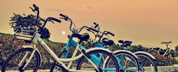 共享單車忘記鎖了應(yīng)該怎么辦?
