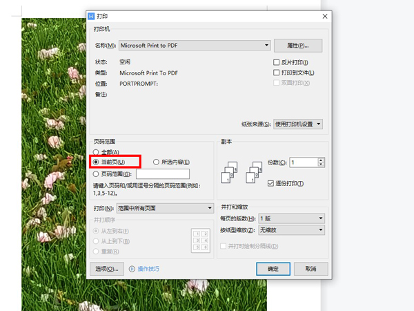 WPS如何打印固定文檔頁(yè)