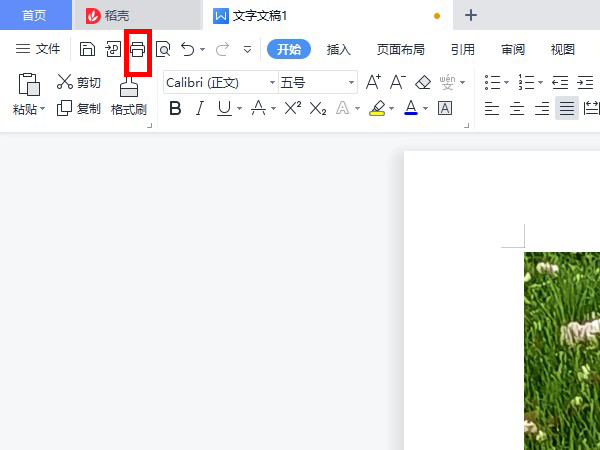 WPS如何打印固定文檔頁(yè)