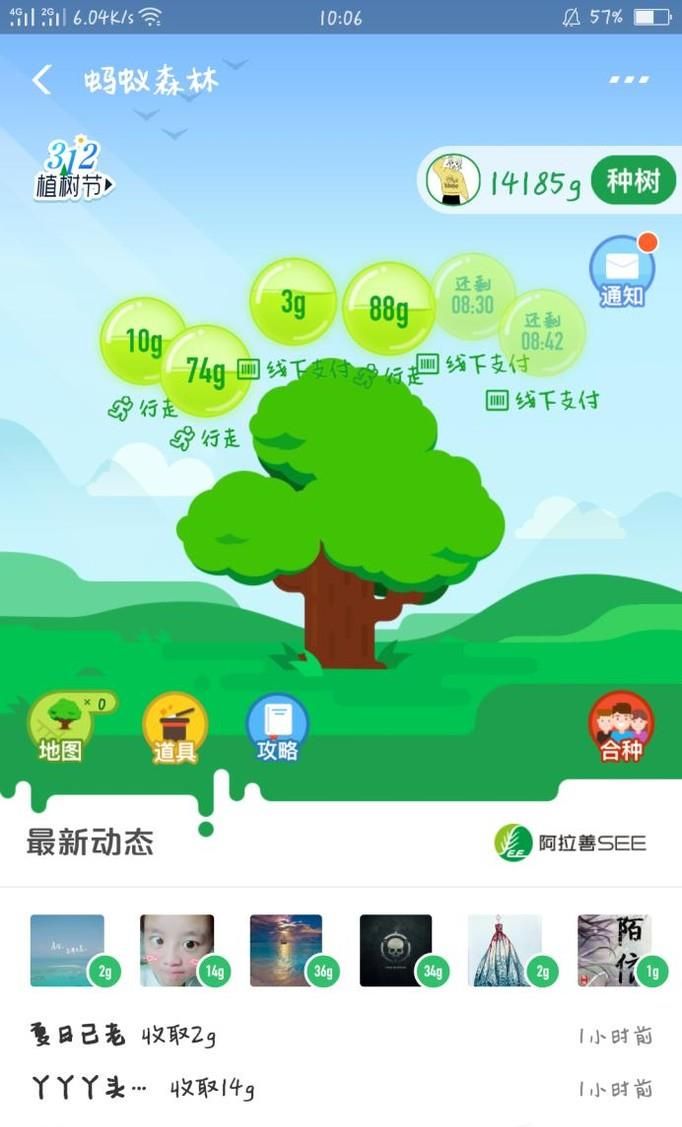 支付寶螞蟻森林大樹養(yǎng)成了如何領取種苗